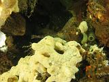 2011-11-13 11-44-18 Ludo
